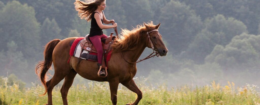 cedar-creek-riding-stables-