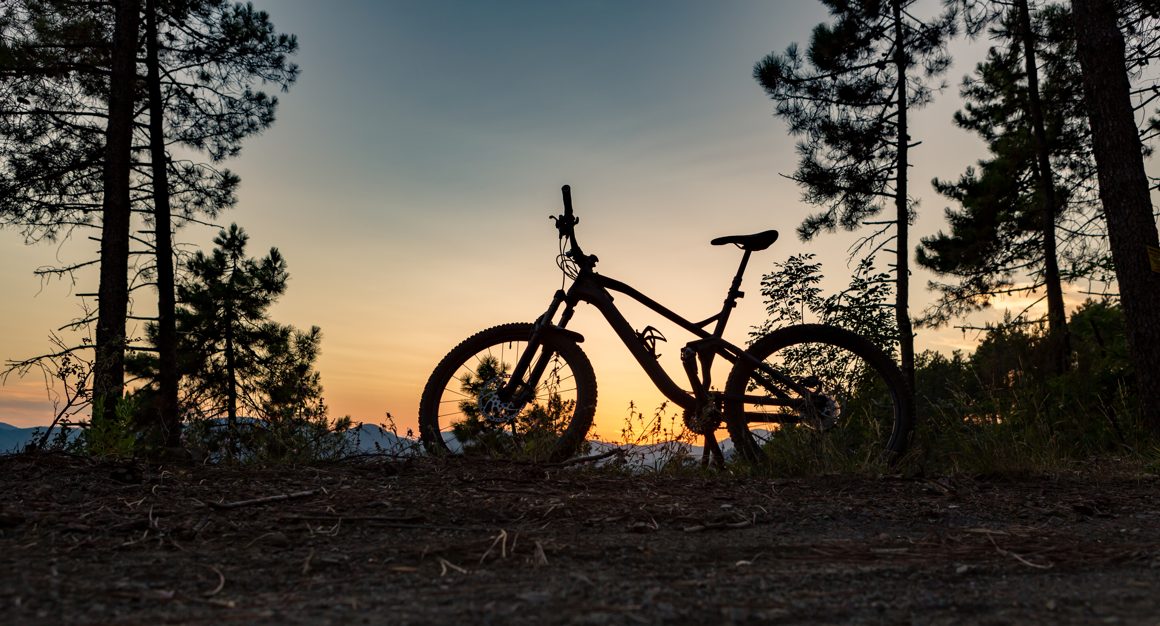 The silhouette of a mountain bike on a bike trail in Asheville, NC.