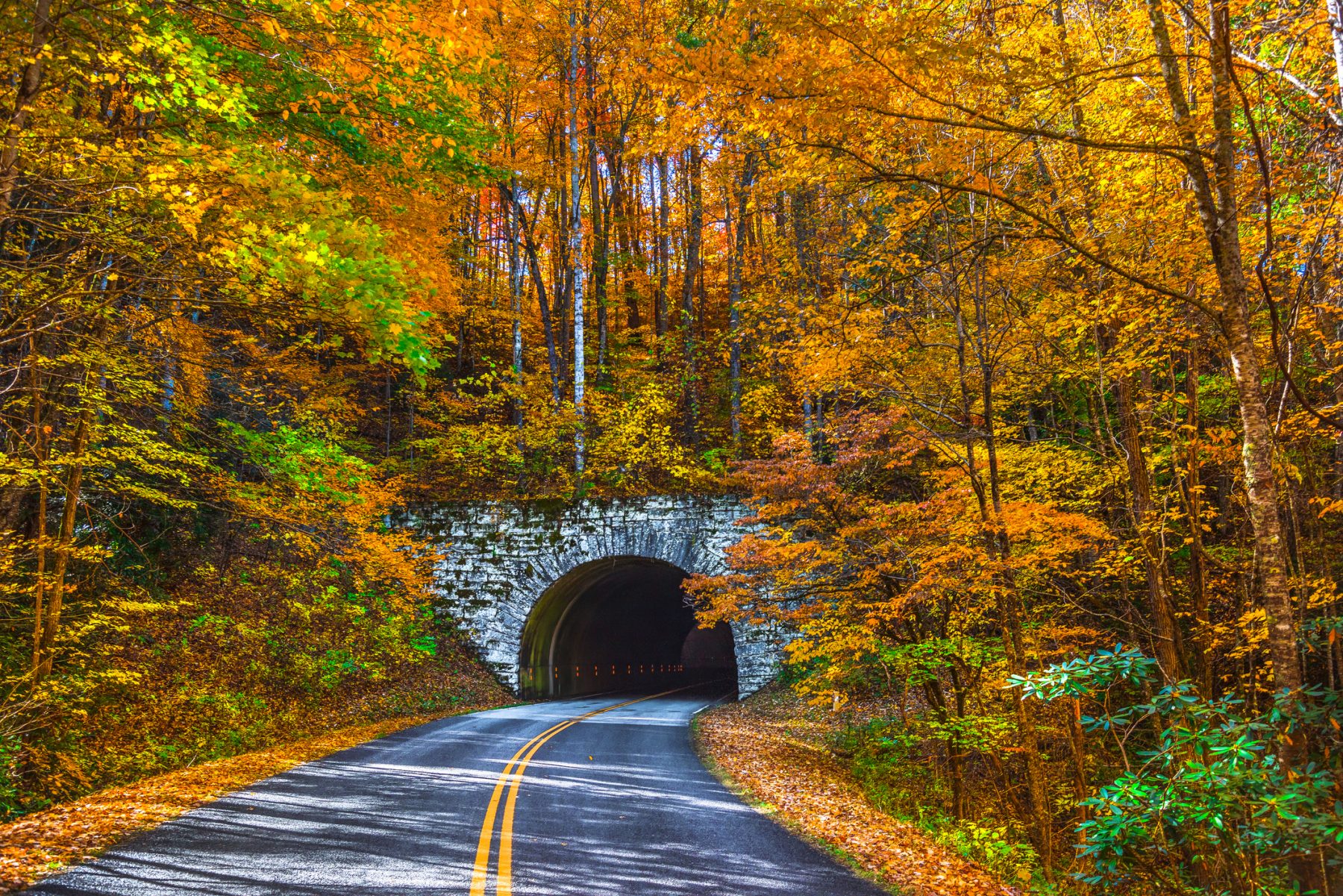 Blue Ridge Parkway Tunnel near Asheville North Carolina during Fall: North Carolina fall colors.