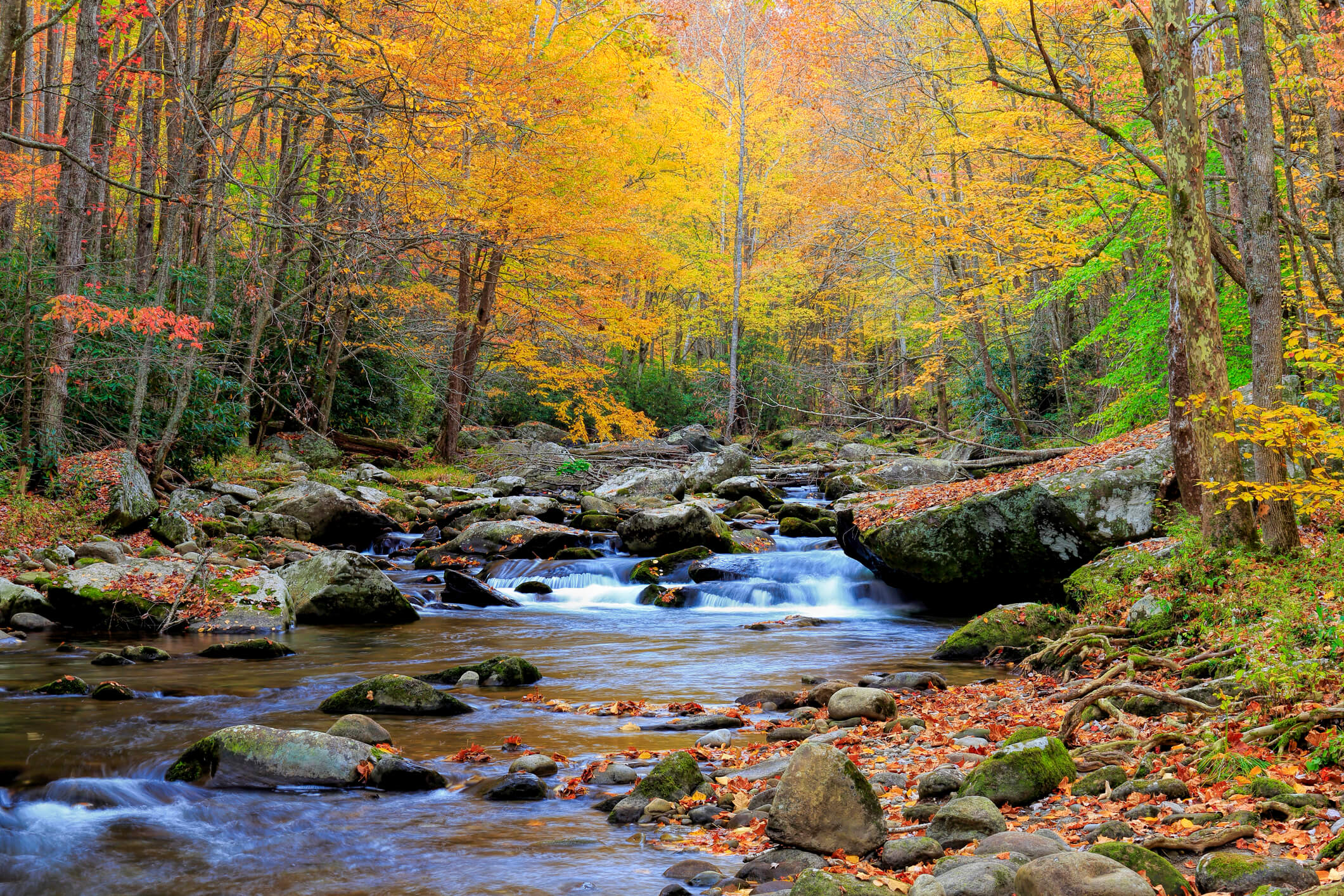 A river in North Carolina: North Carolina's fall colors: things to do in nearby cities during your stay at The Esmeralda Inn & Restuarant.