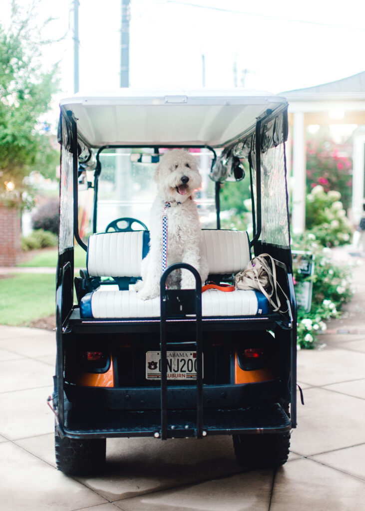 Camp War Eagle hotel downtown Auburn The Collegiate