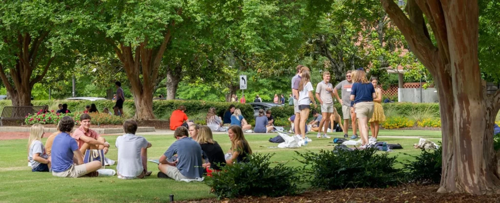 People at a park