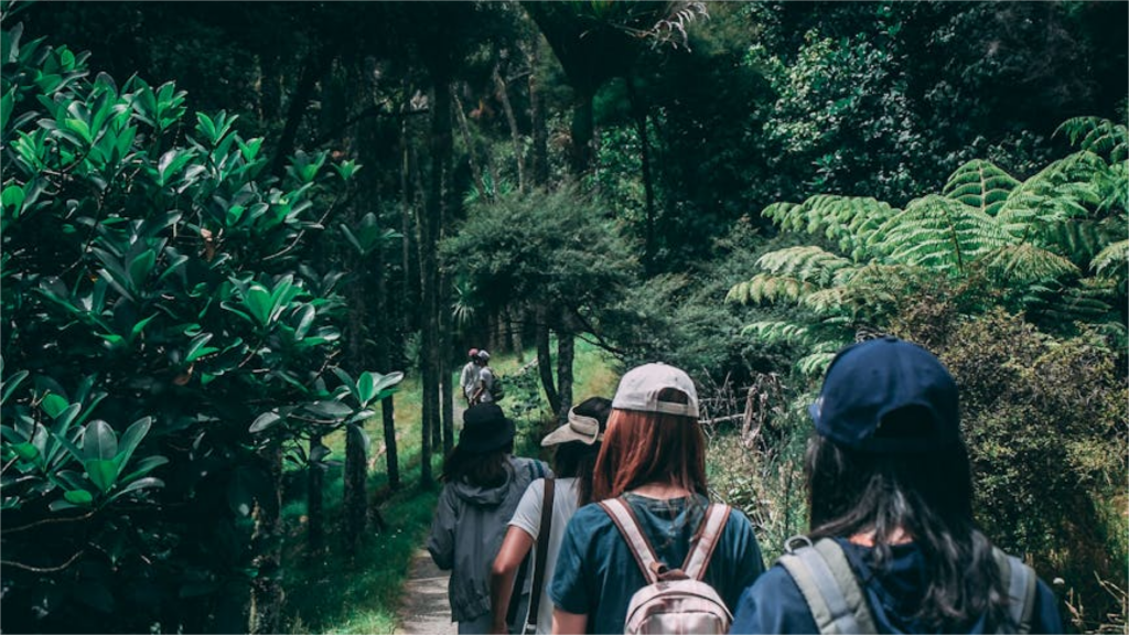 hikers on a trail in the woods