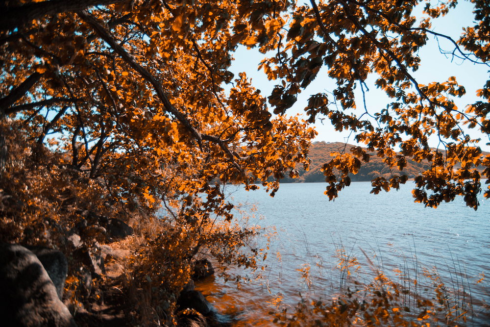 fall on oquaga lake