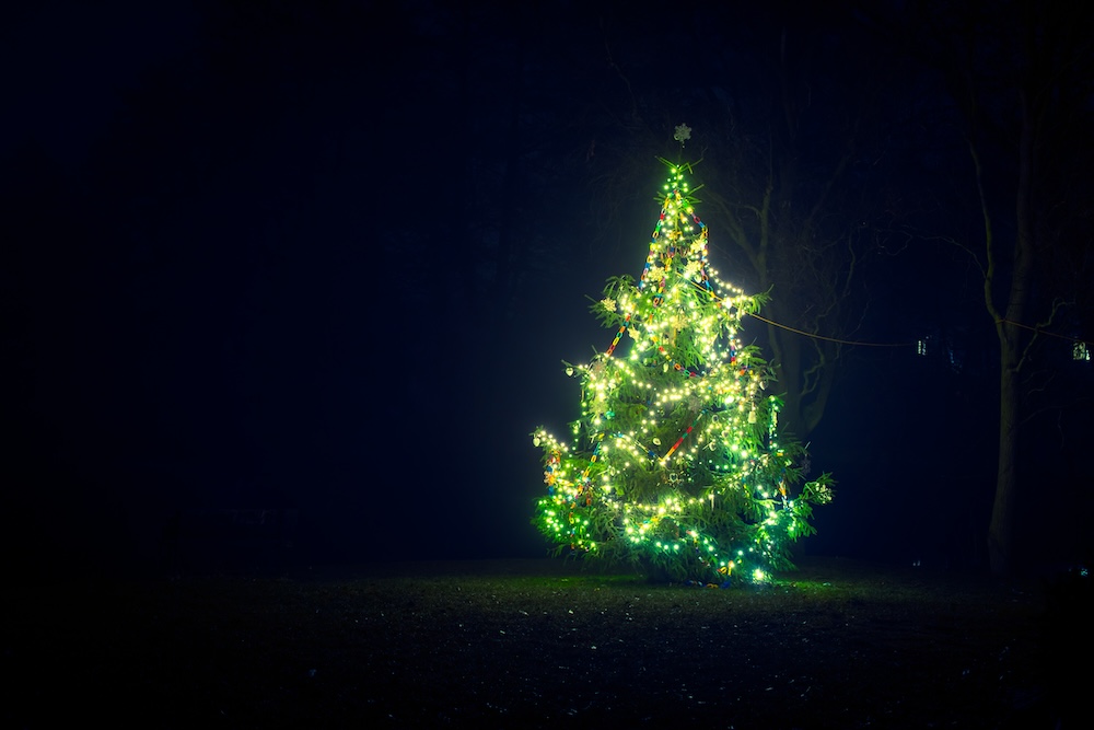 Glowing Christmas tree in park of a small city at night. Winter without snow.