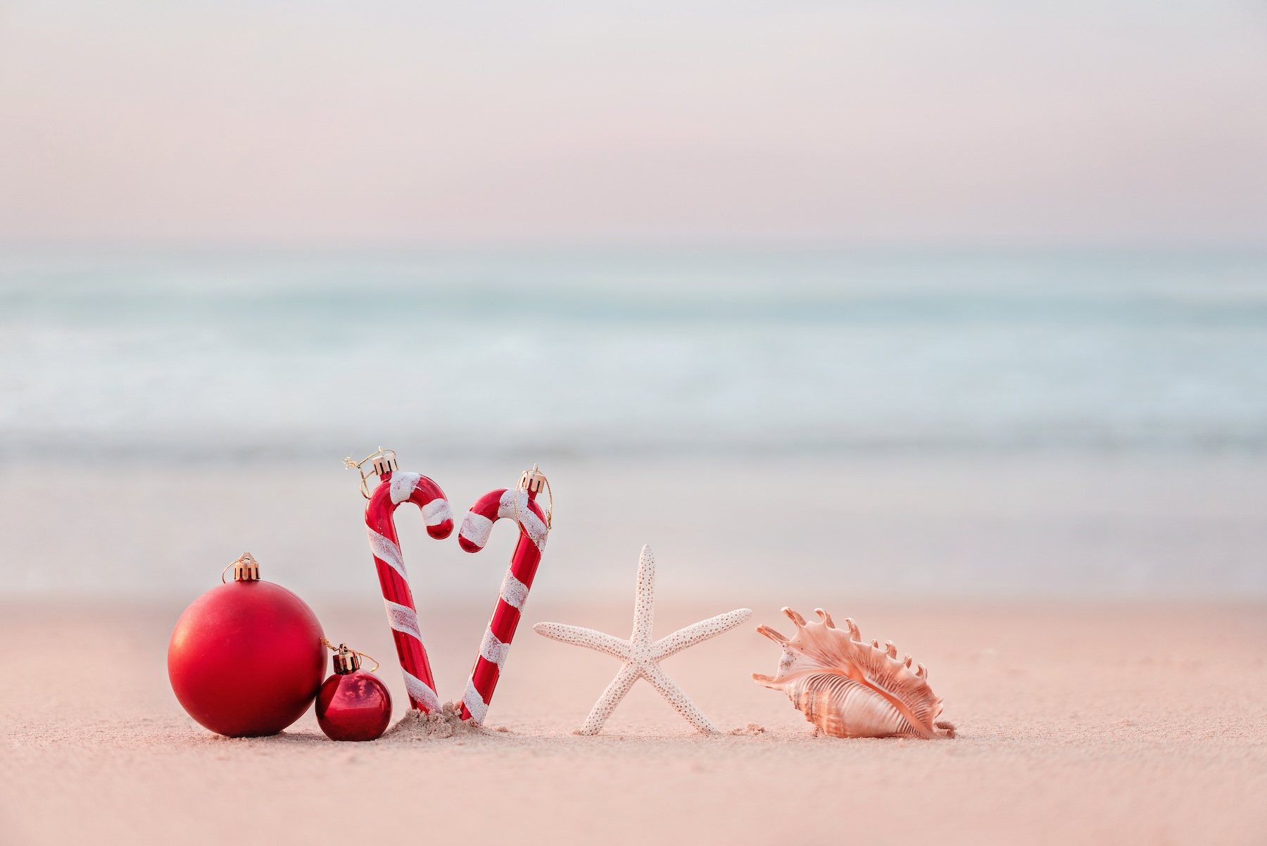 Celebrate the Holidays in North Myrtle Beach