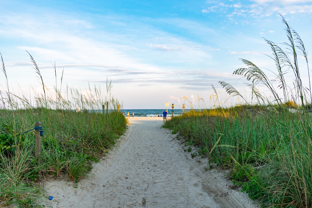 beach marsh north myrtle beach