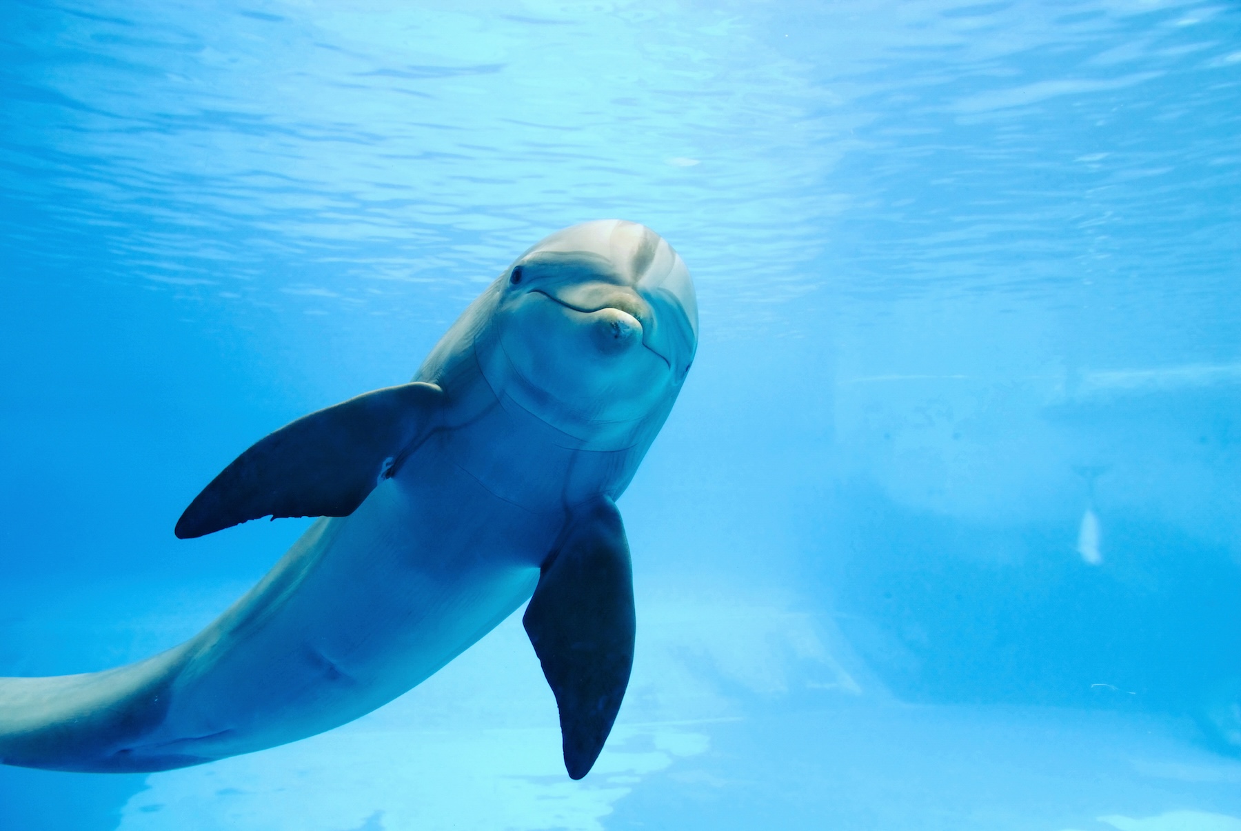 The Best Eco Tours and Wildlife Experiences in North Myrtle Beach