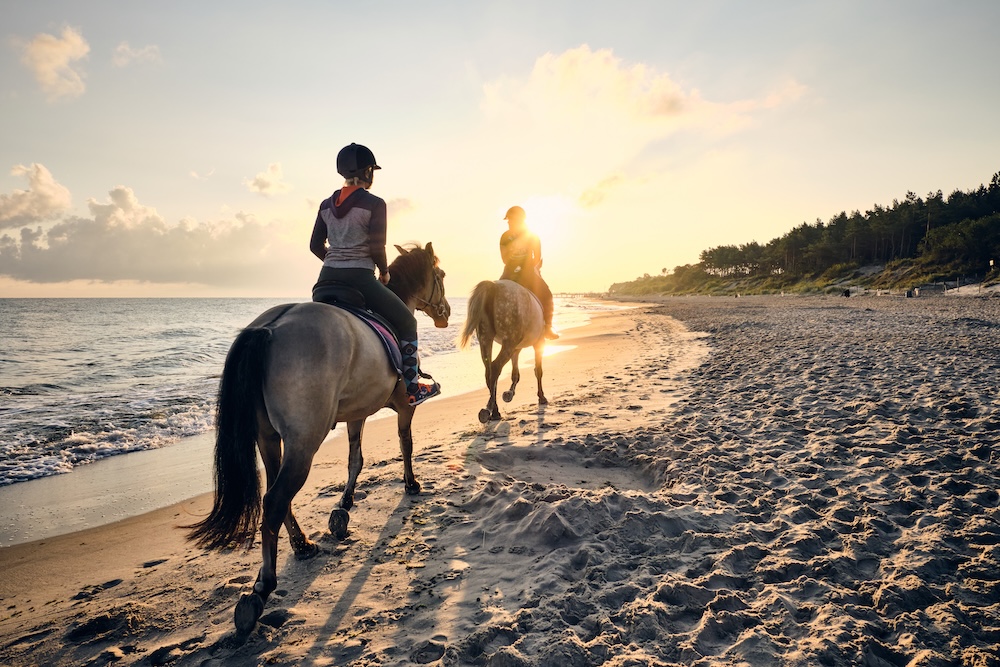 Horseback on the beach