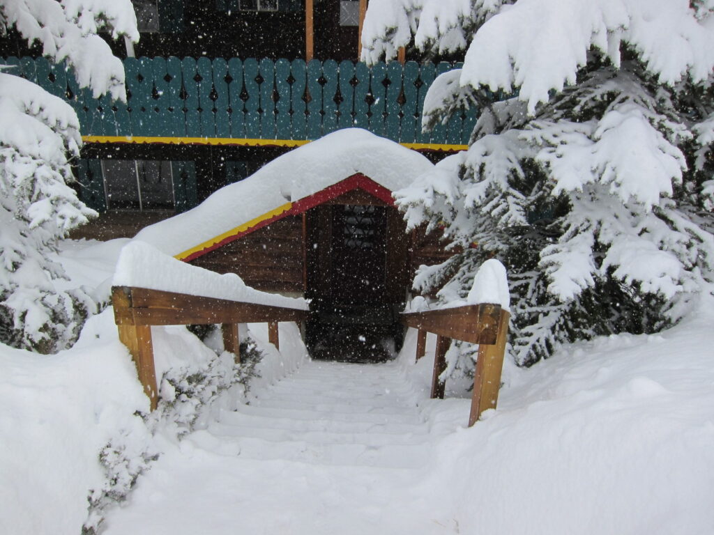 Lodge back snow