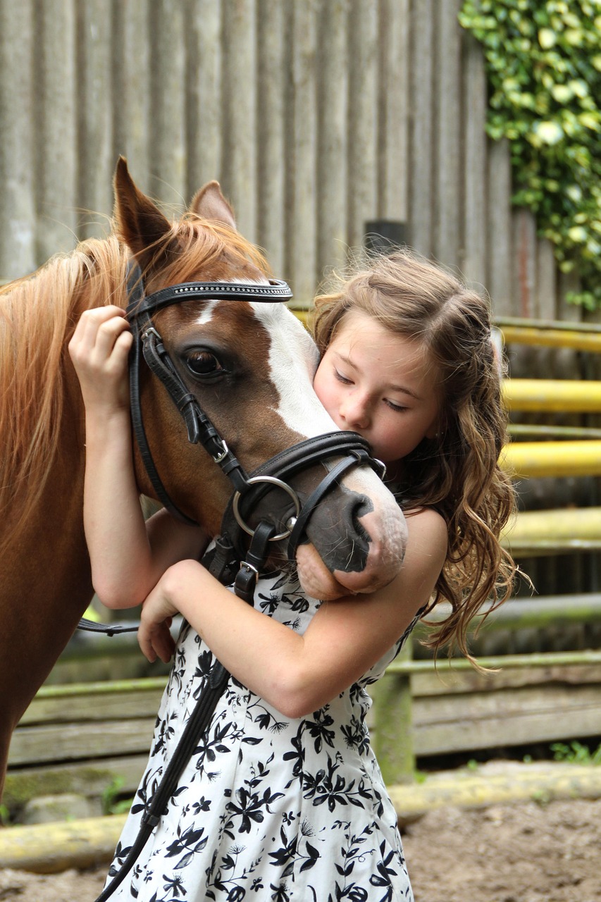 pony, girl, horse, child, animal, hobby, cute, coupling, horse riding, nature, summer, pony riding, love for animals-2595144.jpg