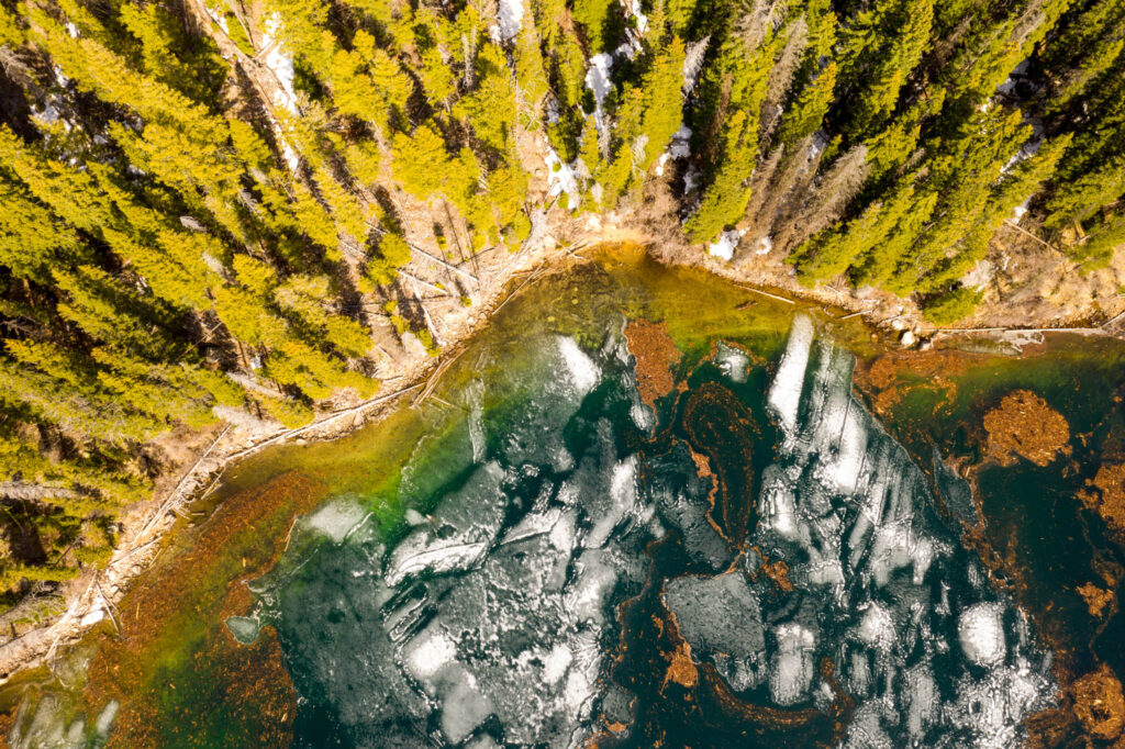Idaho lake with trees