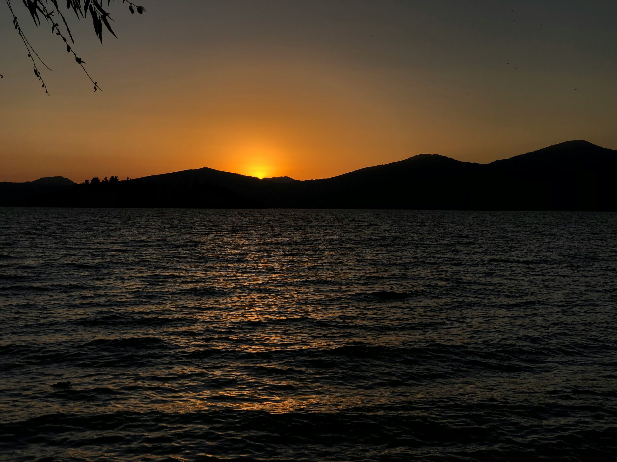 Sunset Boat Cruise