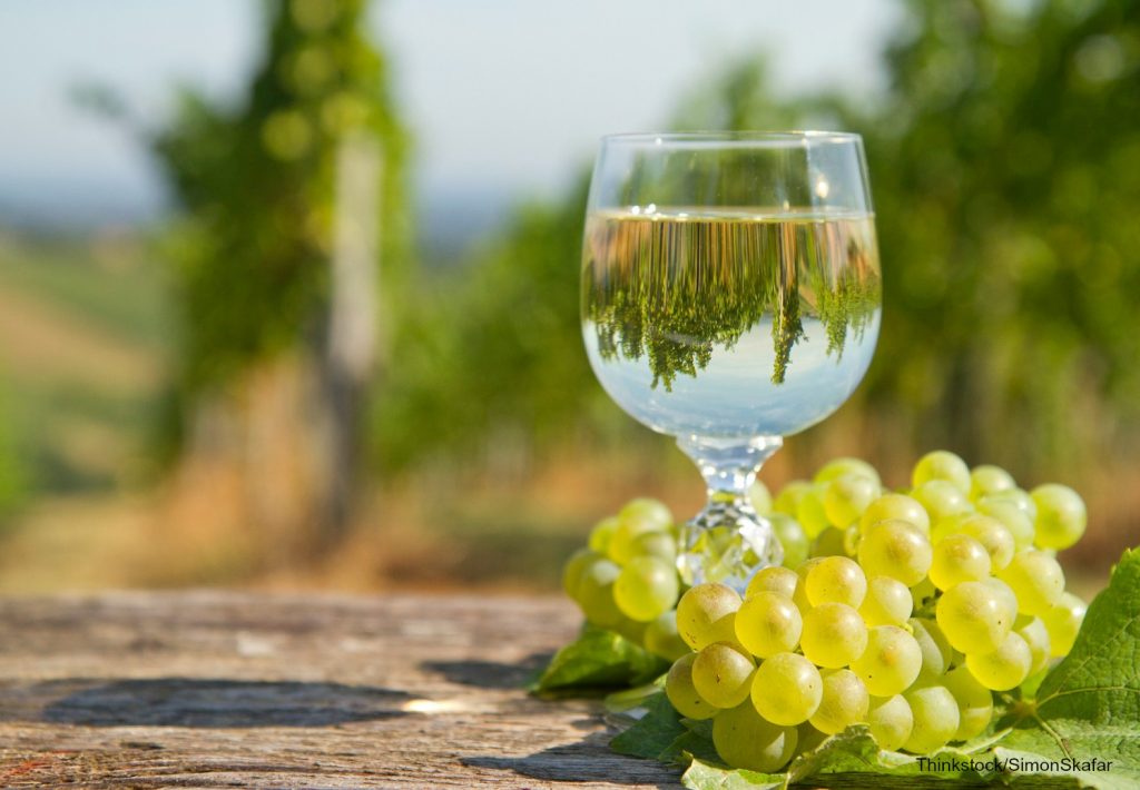 Enjoy a glass of white wine at Wente Vineyards
