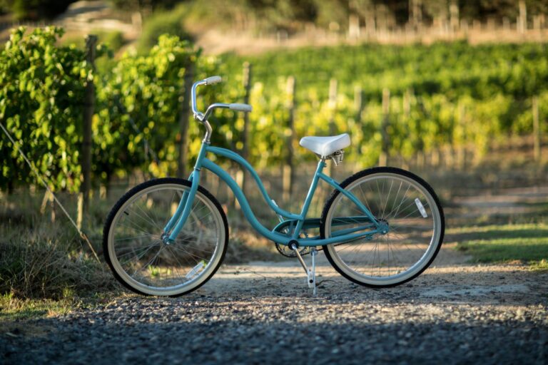 a Bicycle on field at a vineyard on a livermore bike trail
