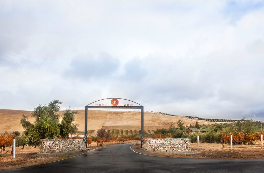 purple orchid gate and entrance