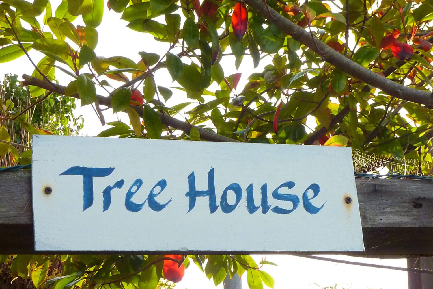Tree House room sign