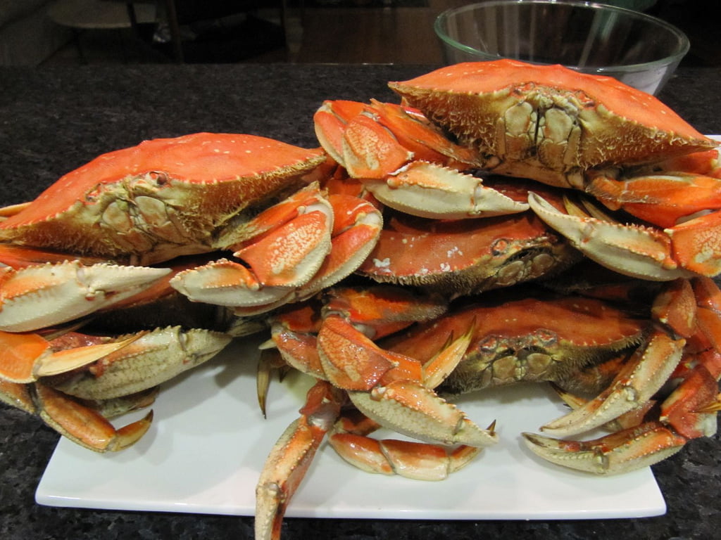 5 Crabs - Piled High