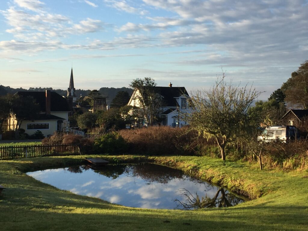 Village Farm Pond with cloud reflection
