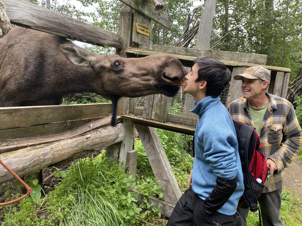 Guest interacting with a moose at the wildlife preserve
