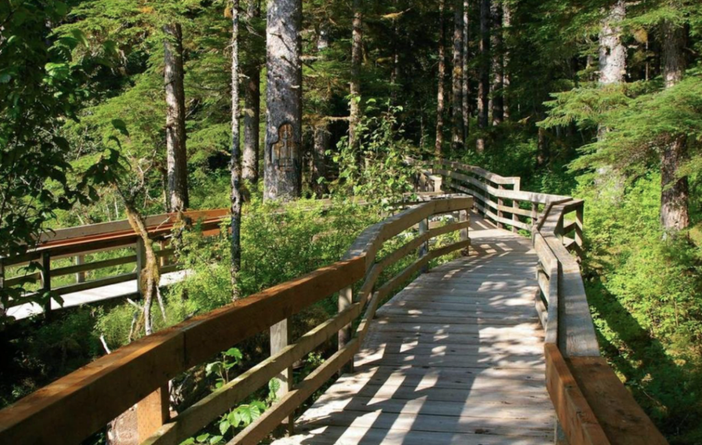 A long wooden pedestrian bridge on a trail in a heavily wooded area