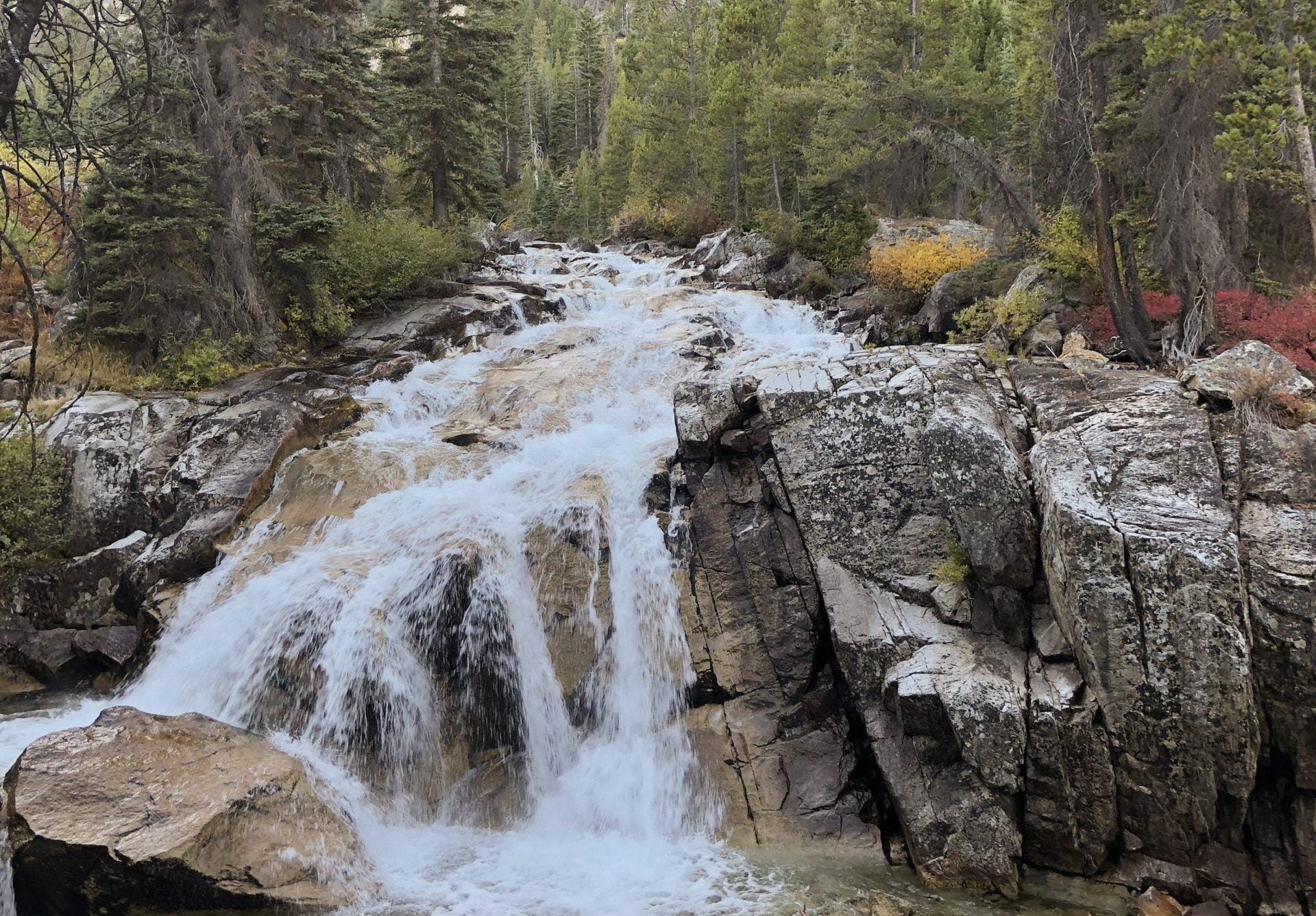 Discover the Lily Pond and Waterfall Hike at Redfish Lake!