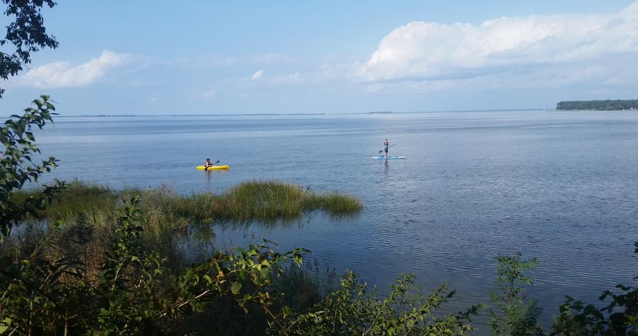 People kayaking and stand-up paddleboarding on the bay