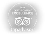 trip advisor logo - Certificate of Excellence