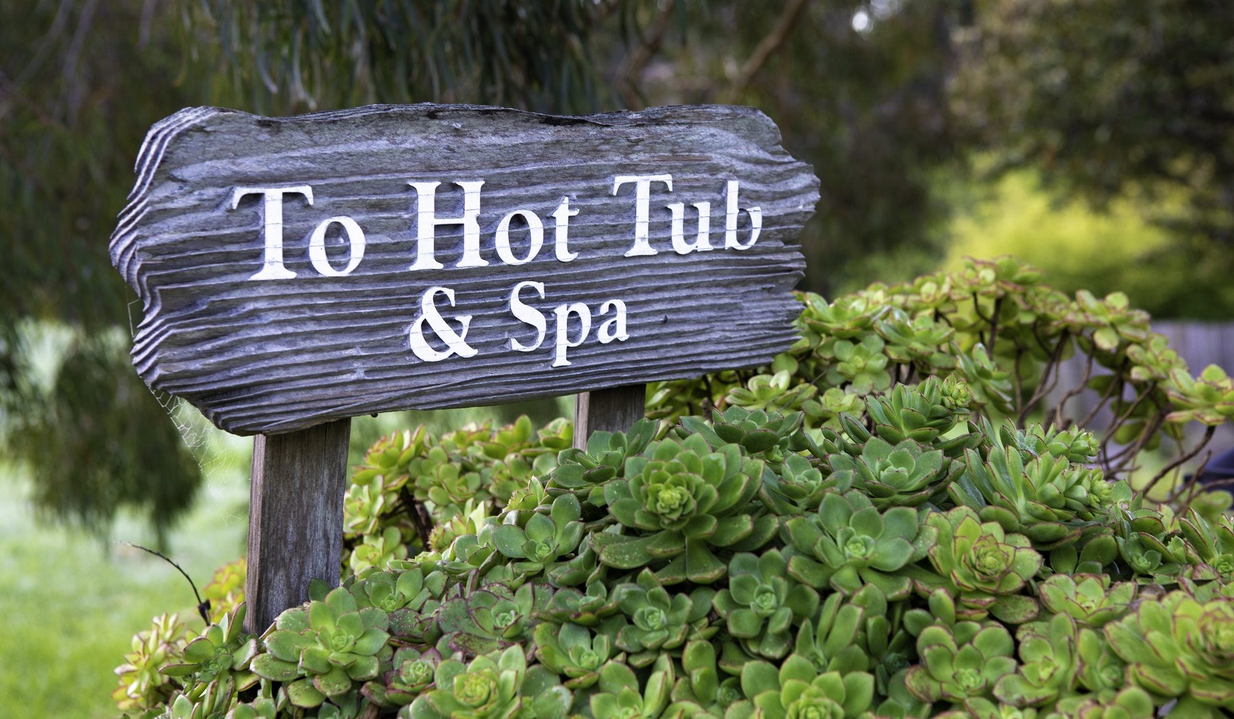 Why You Need to Experience These Mendocino Hot Springs
