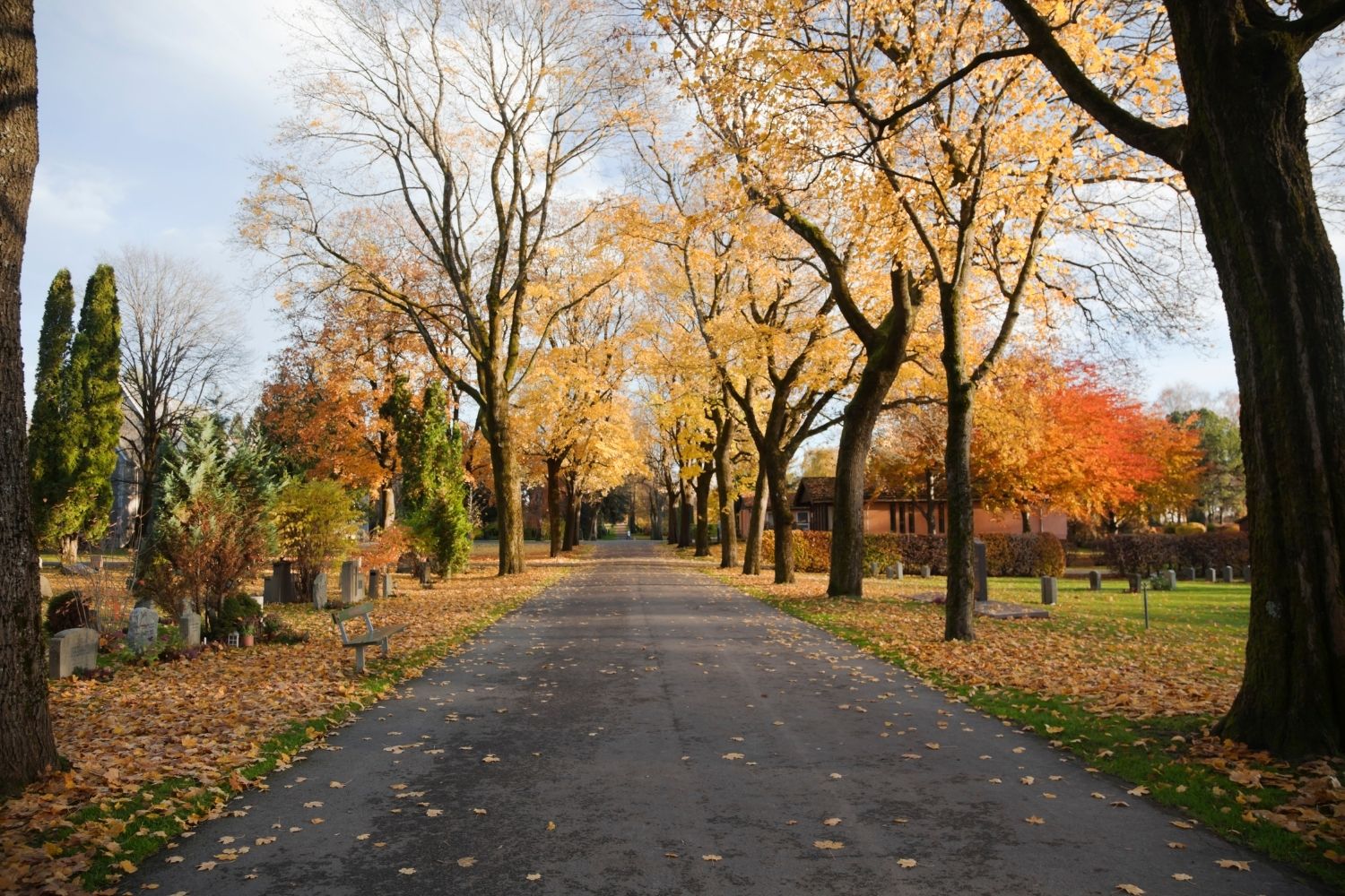 Graveyard in the fall