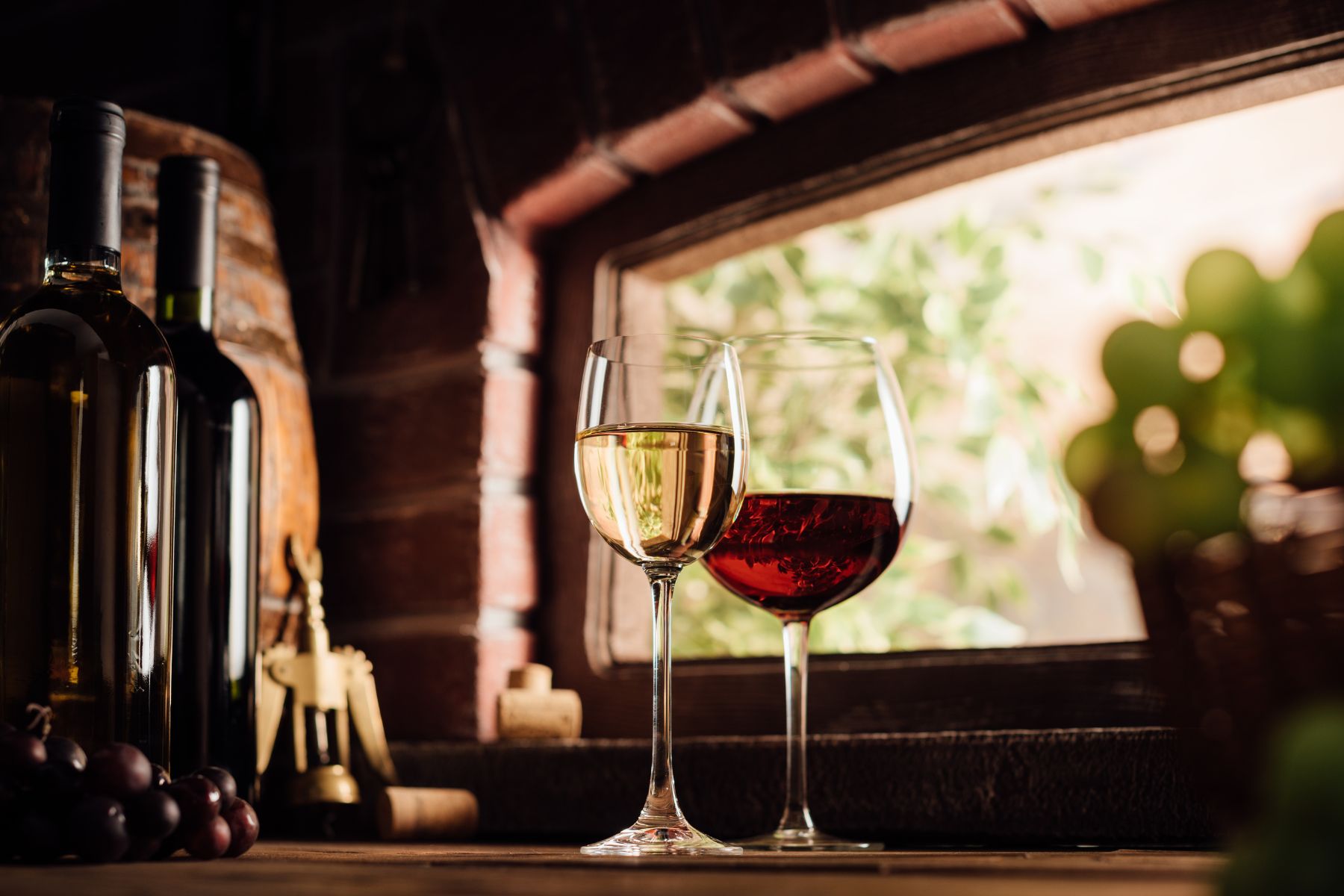 Glasses of red and white wine in front of window