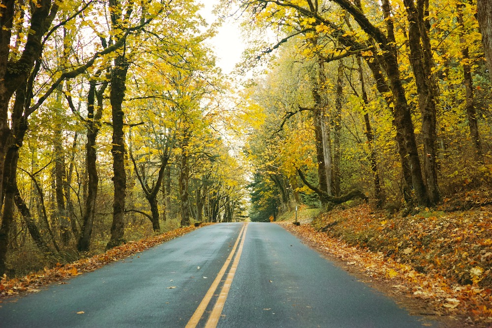 Finger Lakes in September