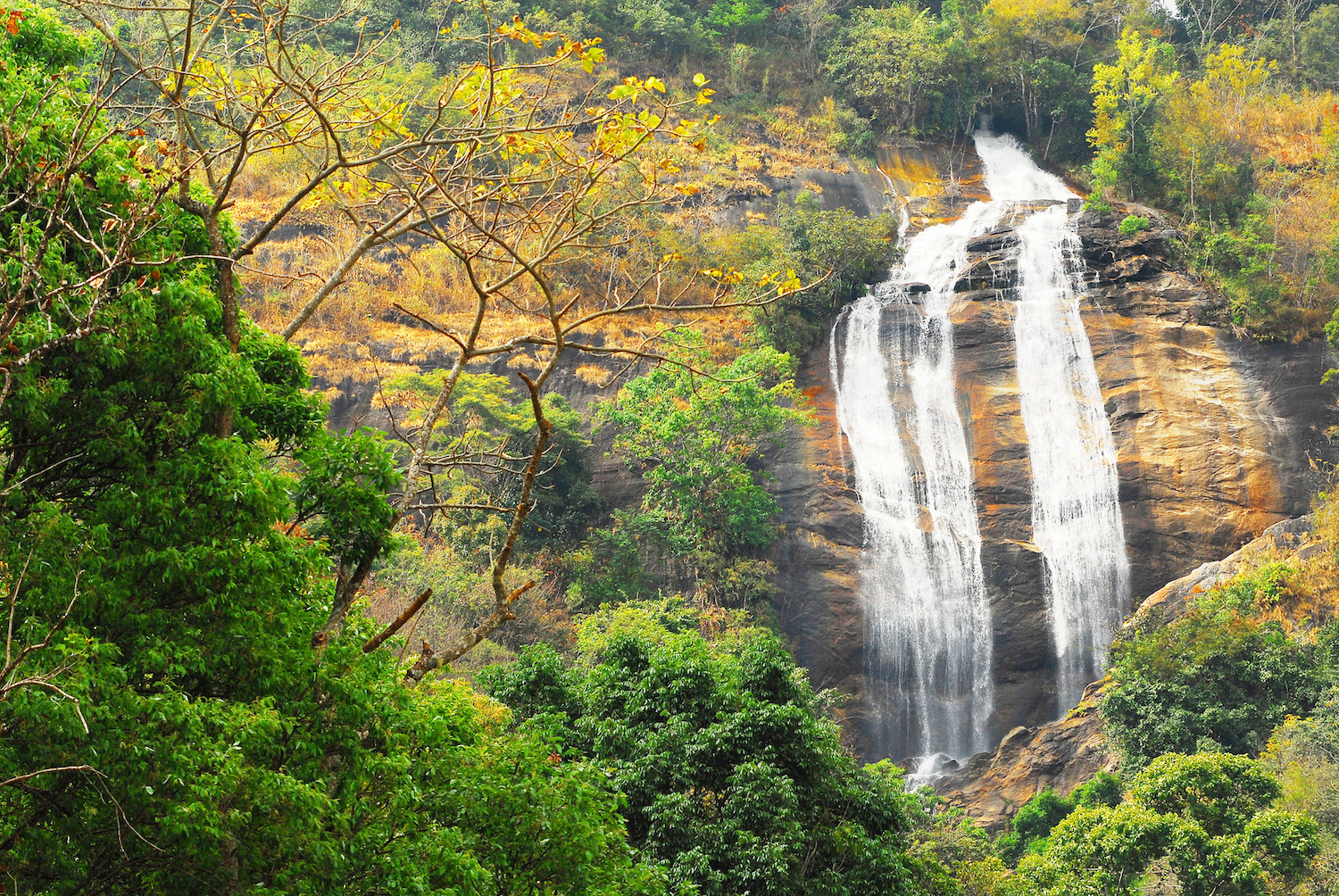 Ready for an Adventure? Discover These Spectacular Waterfalls in the Finger Lakes!  