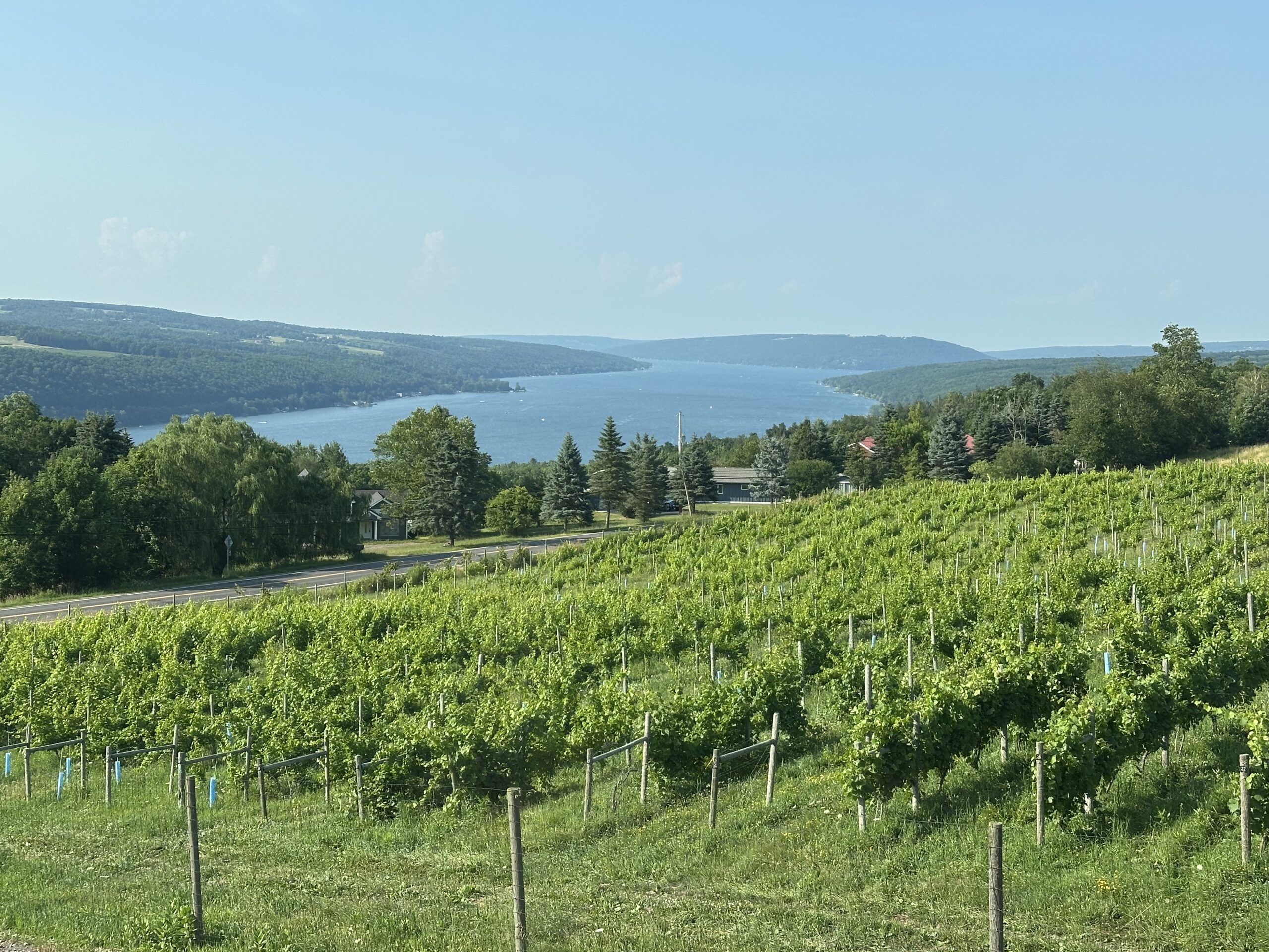 Rochester, NY to Hammondsport, NY: The Perfect Escape to the Finger Lakes!
