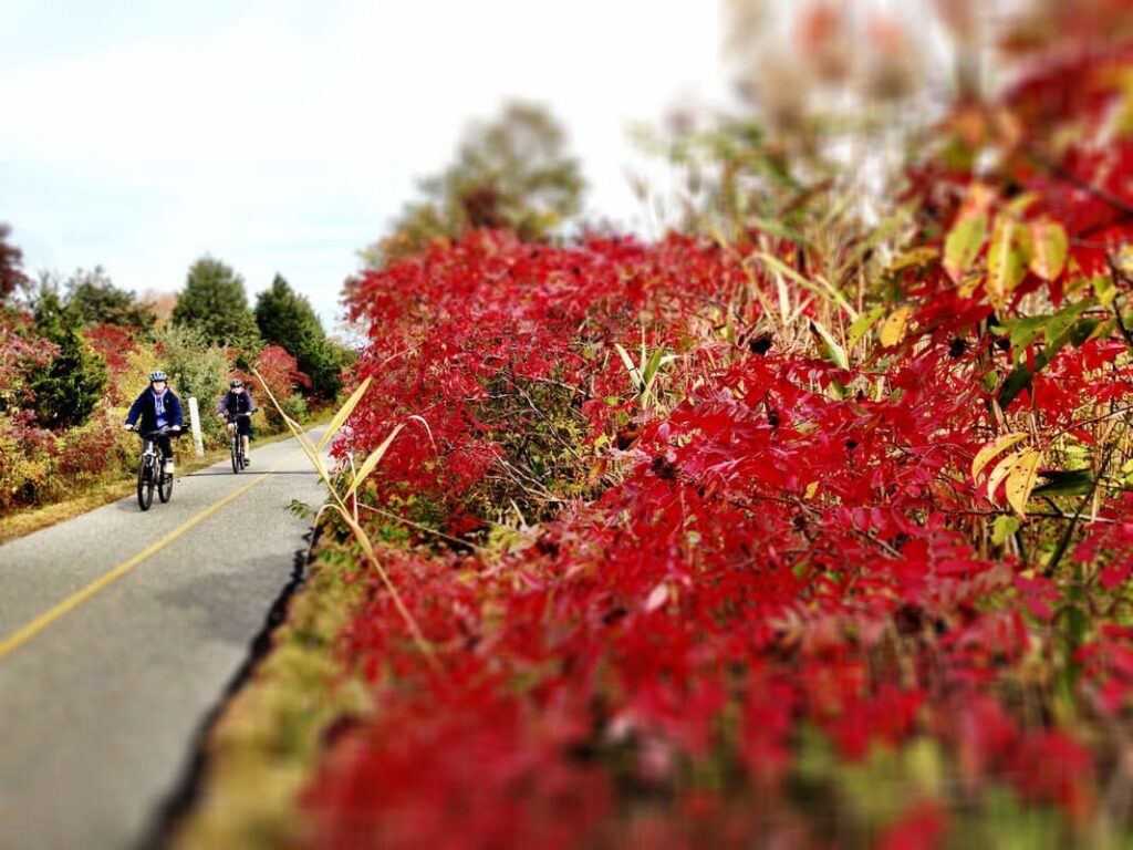 Bike Ride