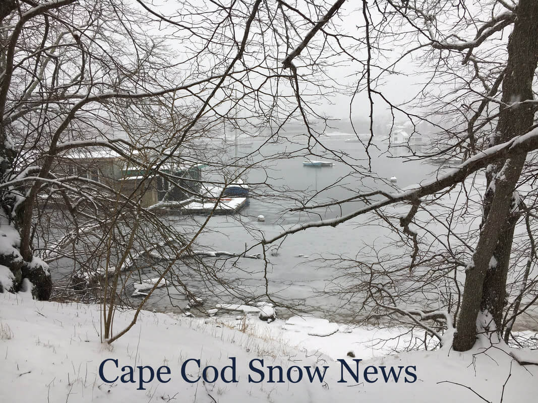 Snow News Winter 2019