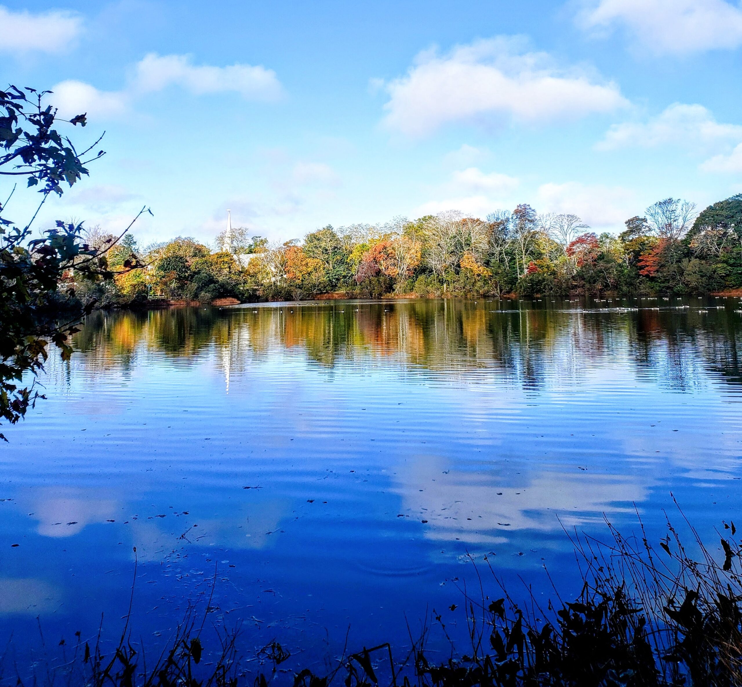 The Perfect Cape Cod Leaf Peepers Guide