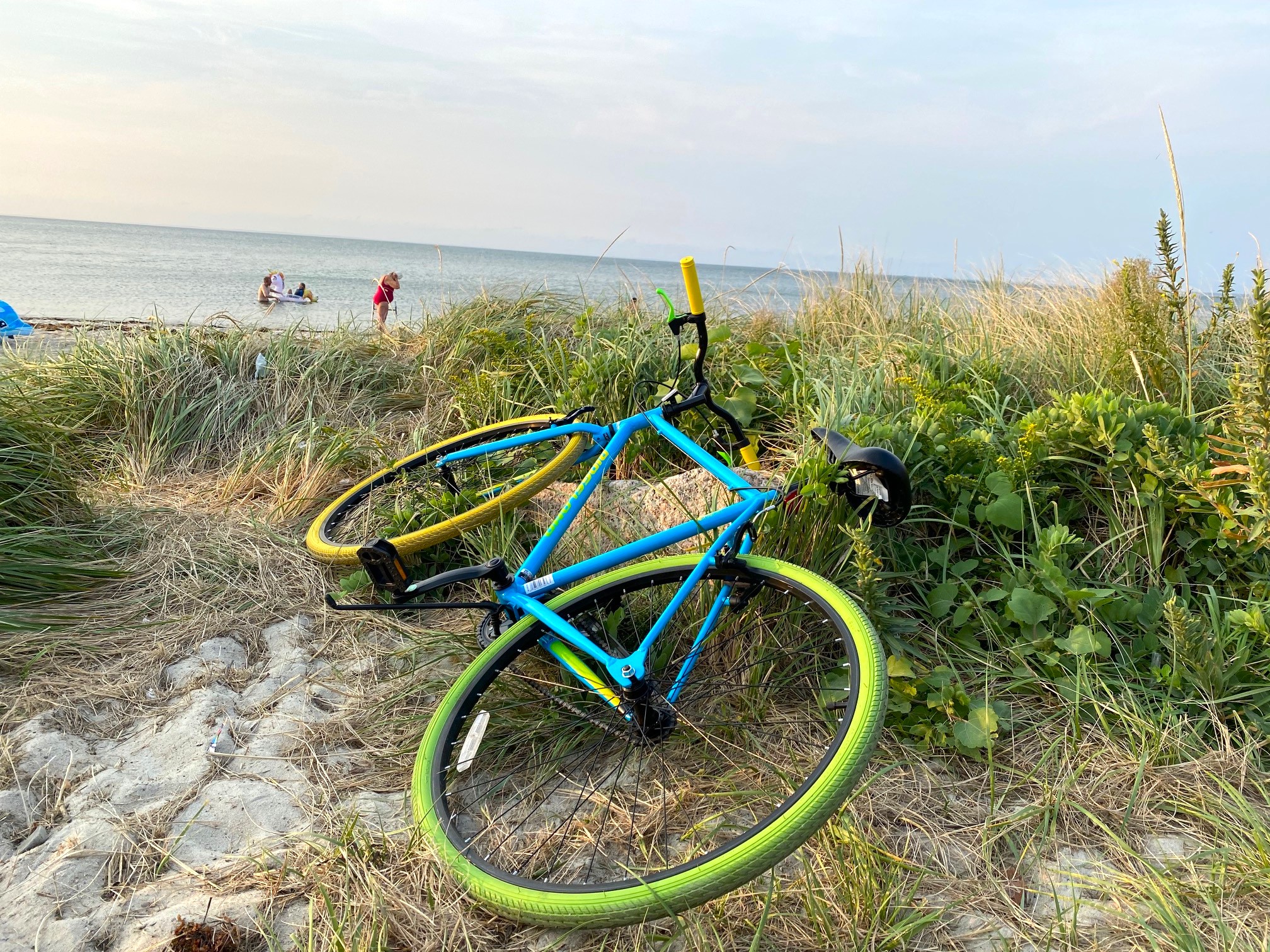 10 Completely Free Things to Do In Our Area