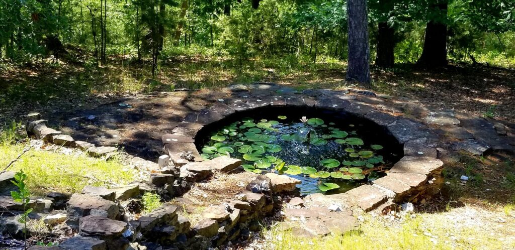 Small pond with lilly pads