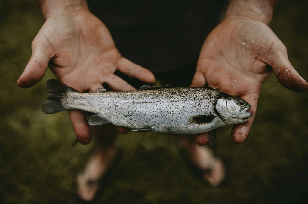 man holds a trout