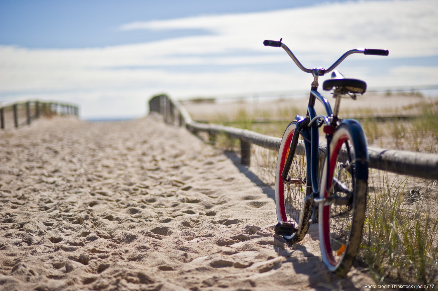 Your Guide to Exploring the Cape Cod Rail Trail
