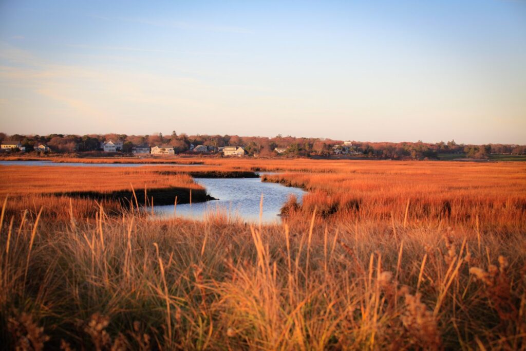 A beautiful salt marsh in Hyannis Port in winter. The sea grasses that are blonde in summer turn orange , then brown in winter. All under a crisp, clean, clear blue sky, Typical Cape homes in the distance