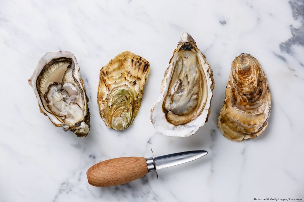 Shucked Oysters and oyster knife