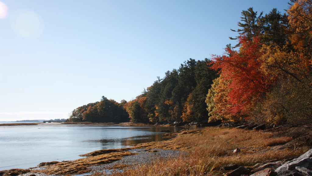 Fall Coast