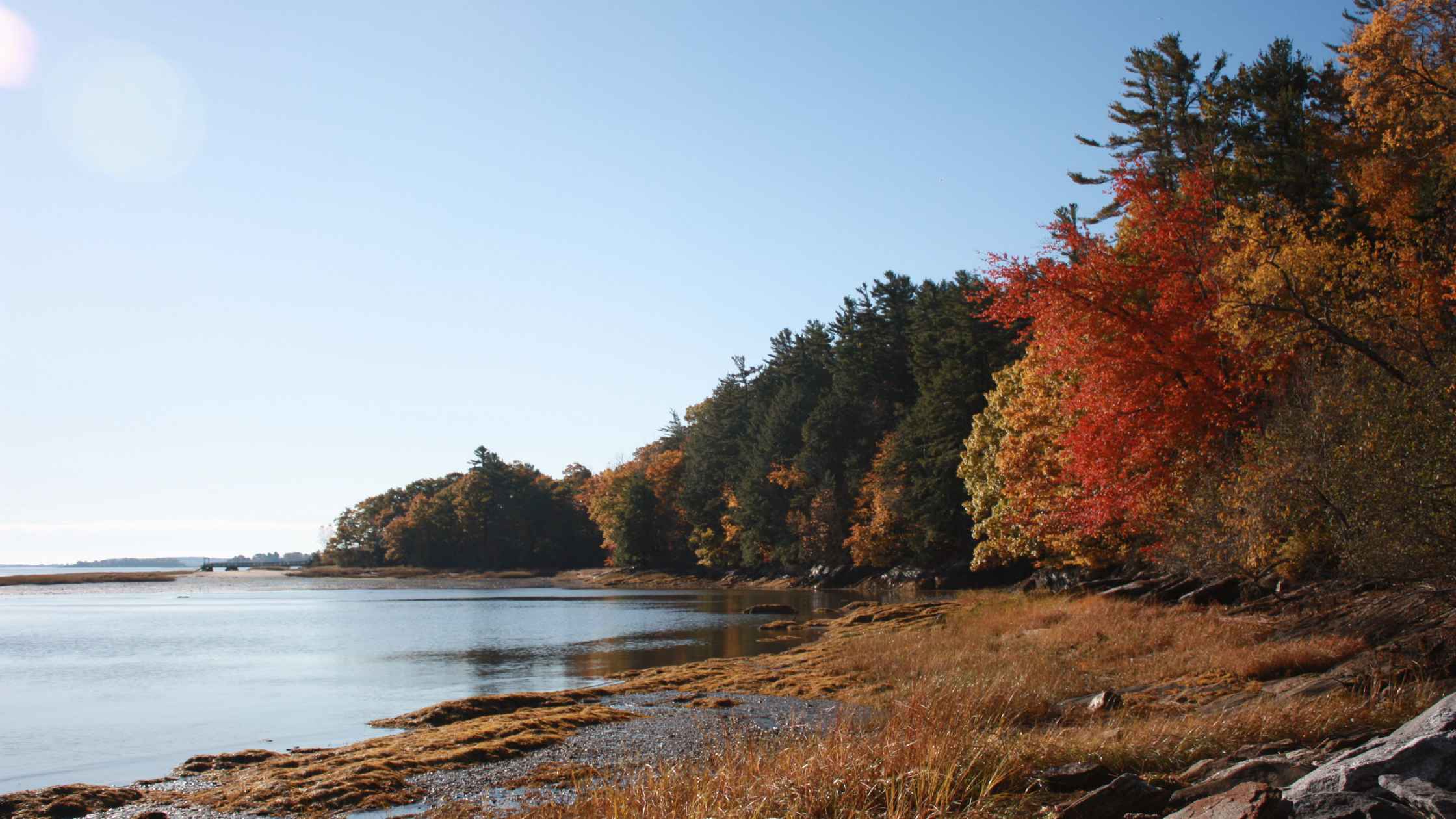 Why You Should Book a Fall Vacation at Northern California Seaside Cottages