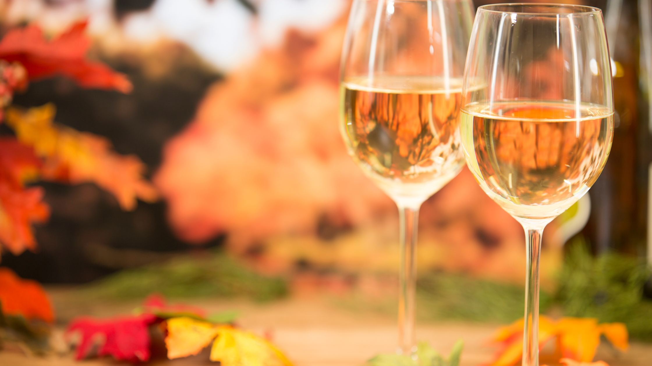 Planning a Fall Wine Tasting Trip with Mendocino Coast Lodging at Cottages at Little River Cove