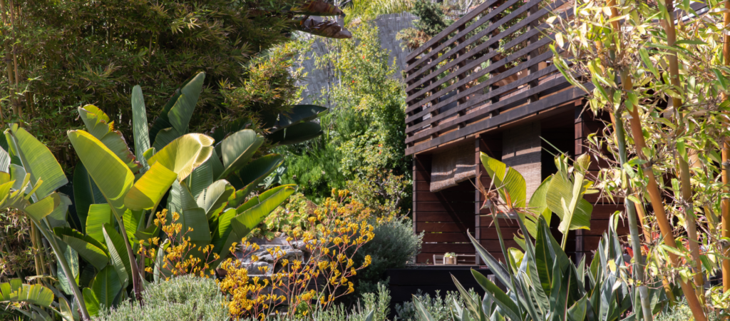 Beautiful variety of green plants and bushes surrounding a wooden balcony at Inn at Moonlight Beach in Encinitas, CA