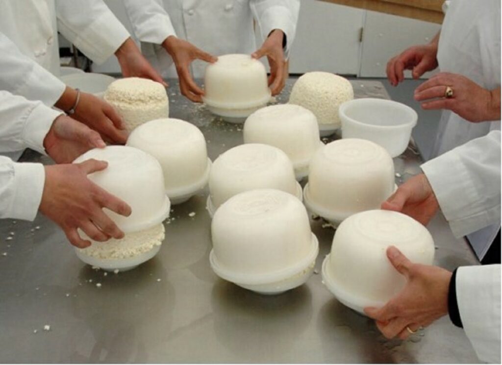 Cheesemaking on Amelia Island