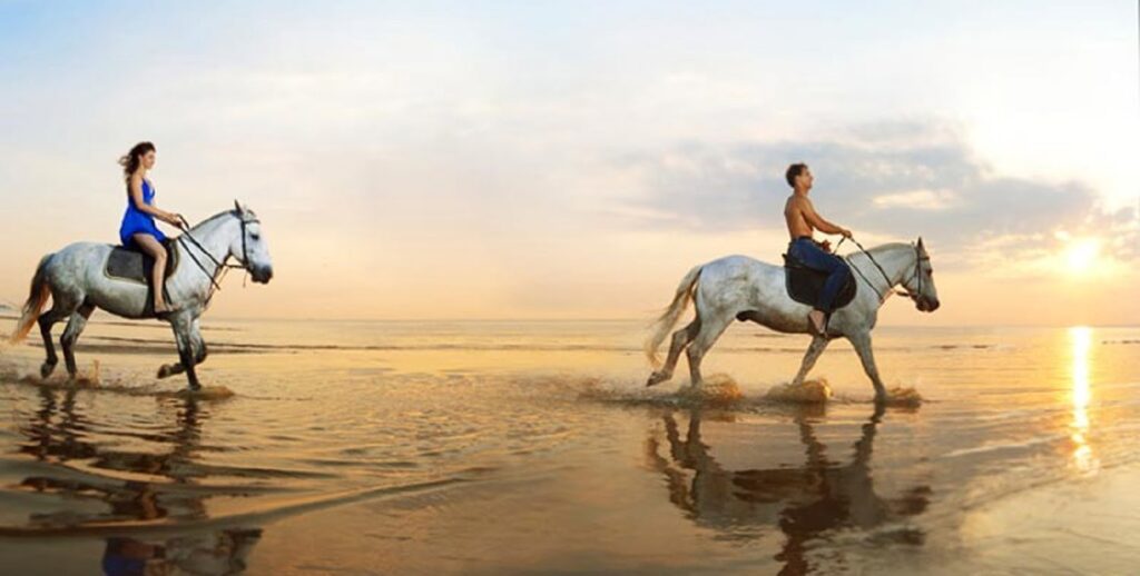 Horseback Riding on Amelia Island