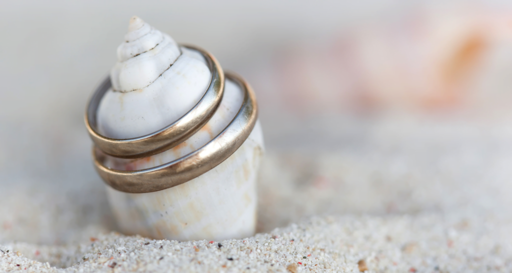 Beach shell with two engagement rings on top in the sand